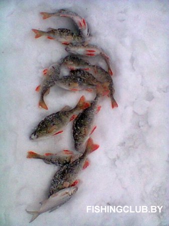 Роль пешни в зимней рыбалке