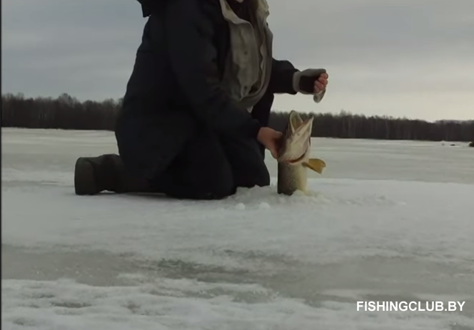 Зимняя рыбалка на безмотылку на малых реках | Советы и техники рыбалки в зимний период на небольших водоемах